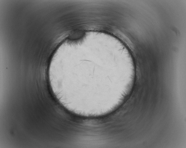 X0000116020105200912312200