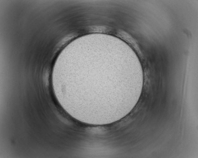 X0000116020106200912312200