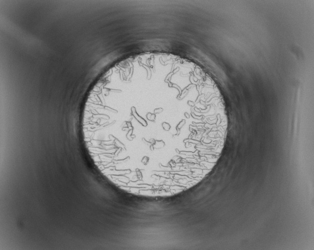 X0000116020107200912312200