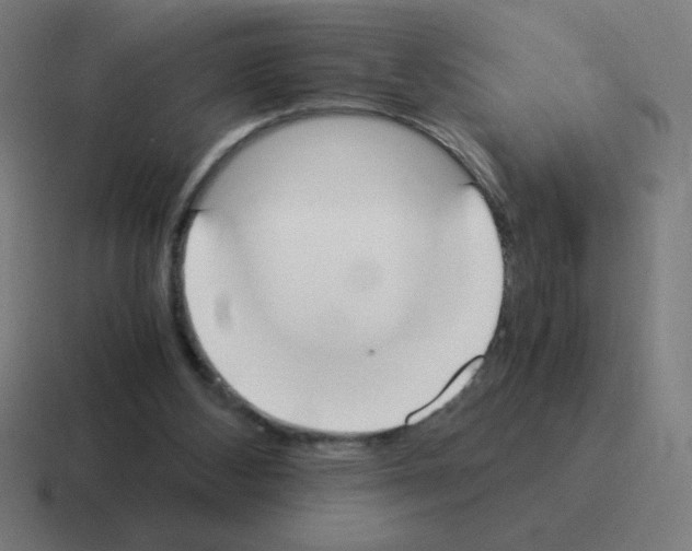 X0000116020108200912312200