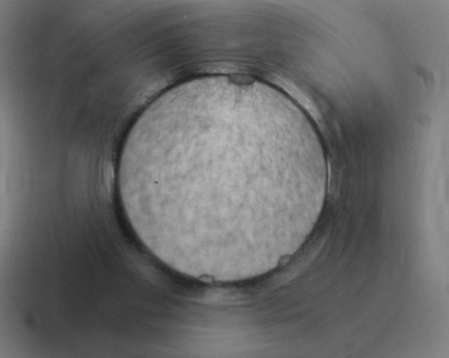 X0000116020109200912312200