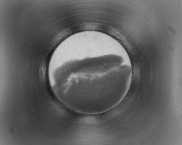 X0000116020110200912312200