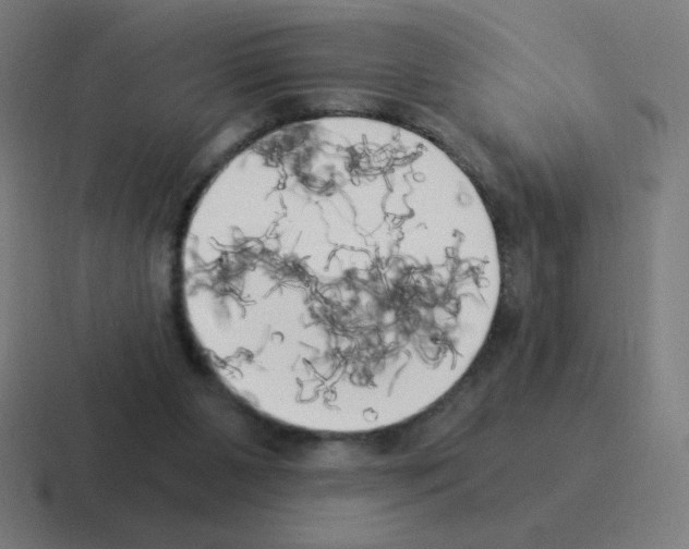 X0000116020111200912312200