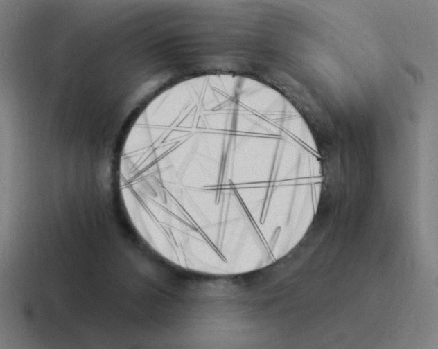 X0000116020112200912312200