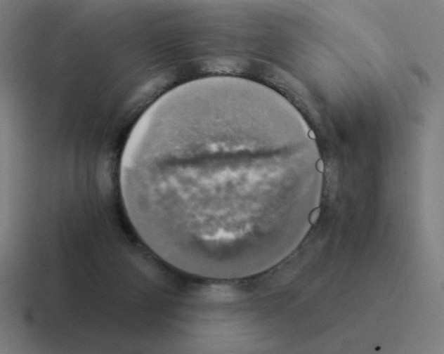 X0000116020114200912312200