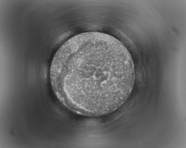 X0000116020115200912312200