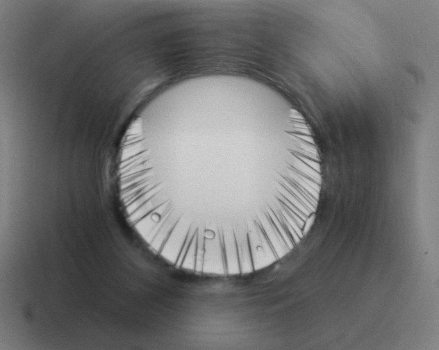 X0000116020116200912312200