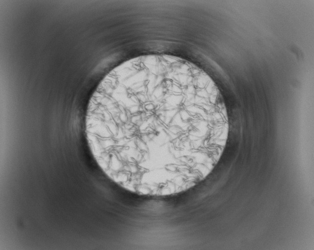 X0000116020119200912312200