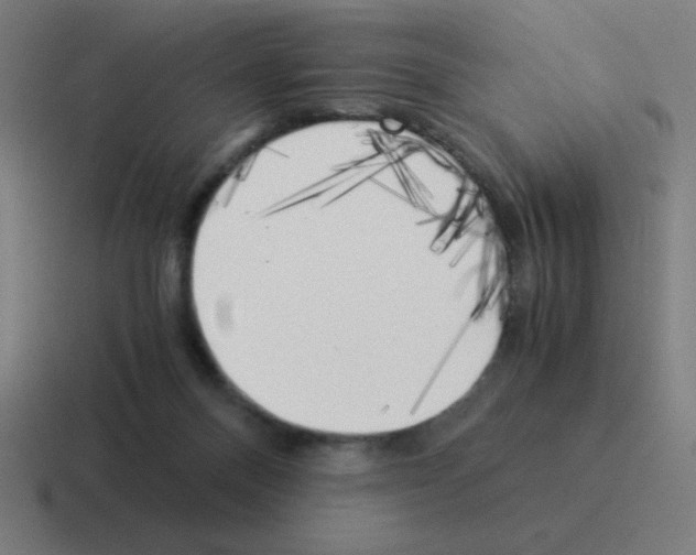 X0000116020120200912312200