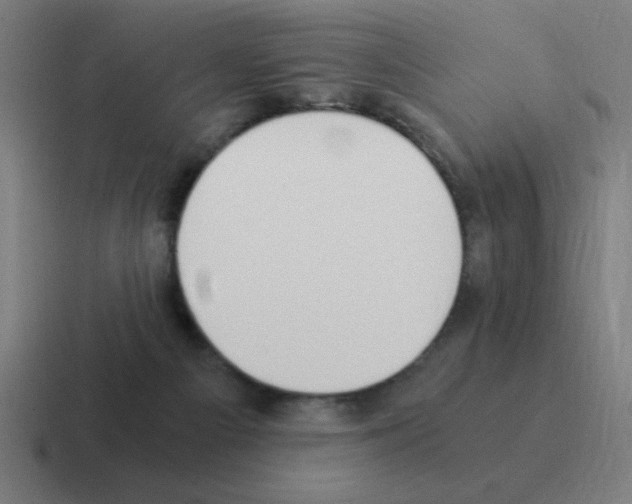 X0000116020121200912312200