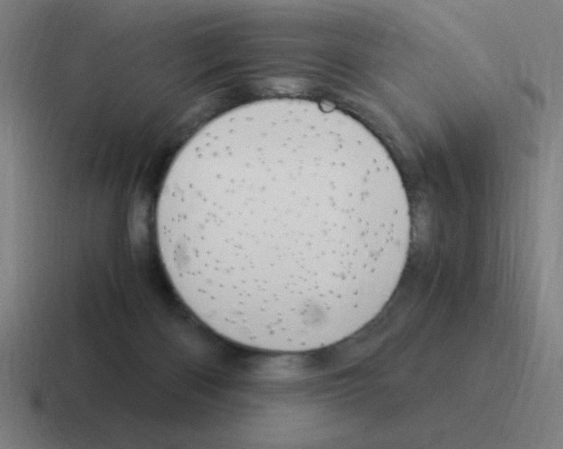 X0000116020122200912312200