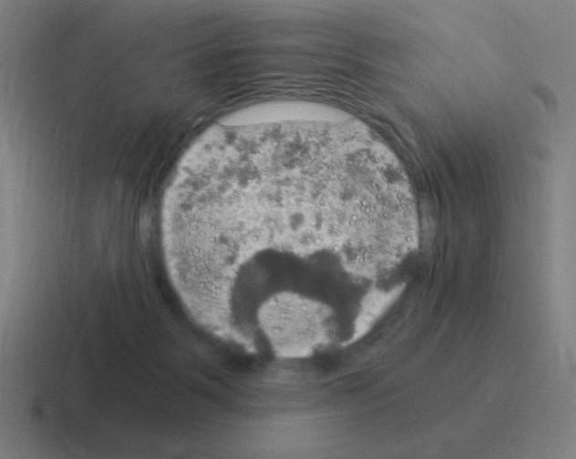 X0000116020123200912312200