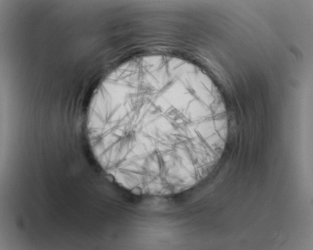 X0000116020125200912312200