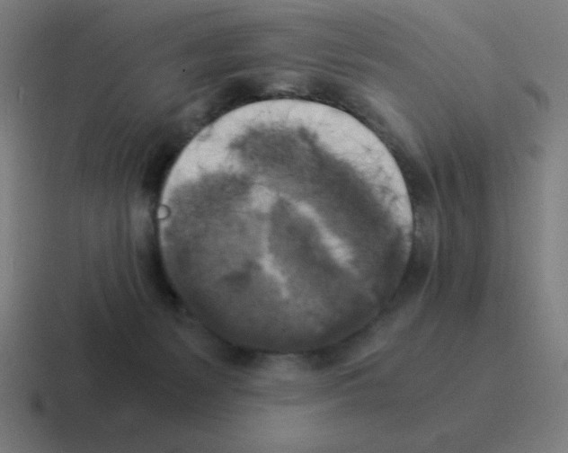 X0000116020127200912312200