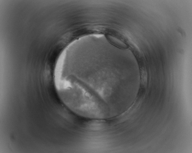 X0000116020128200912312200