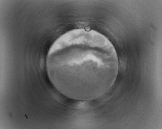 X0000116020130200912312200