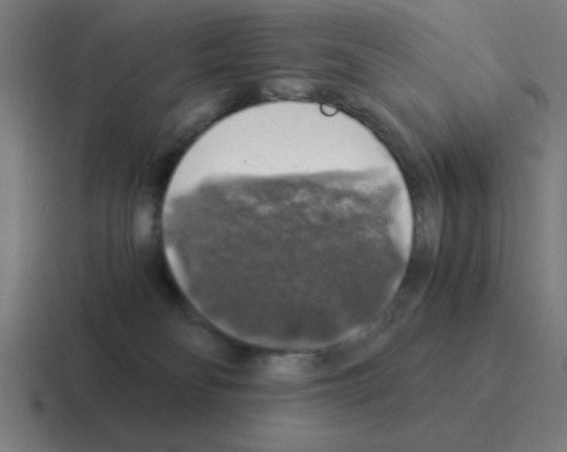 X0000116020134200912312200