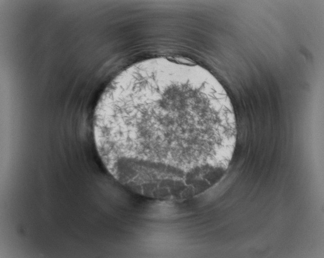 X0000116020140200912312200