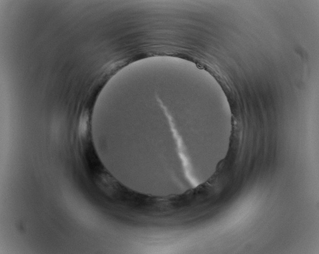 X0000116020143200912312200