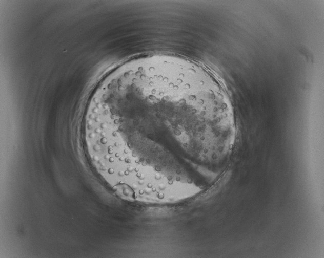 X0000116020145200912312159