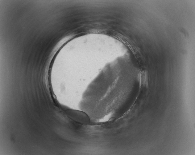 X0000116020147200912312159