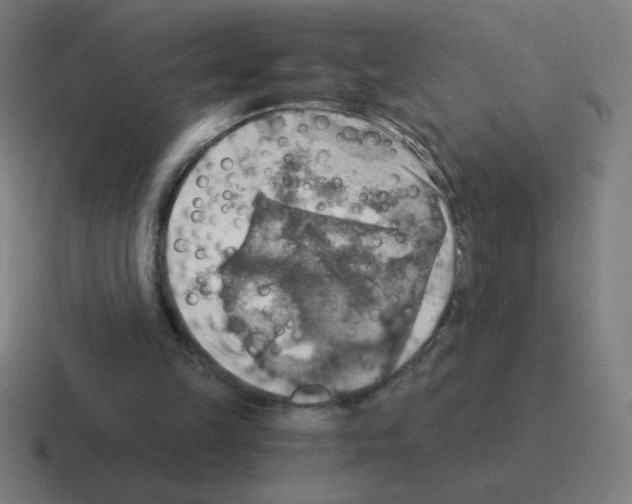 X0000116020149200912312159