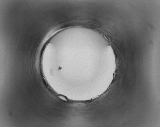 X0000116020150200912312159