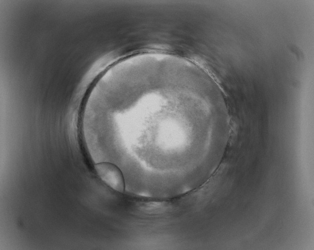 X0000116020151200912312159