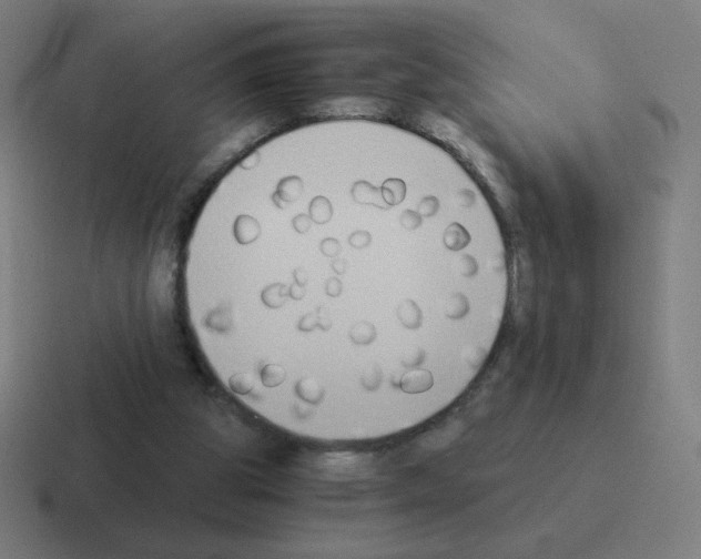 X0000116020153200912312159