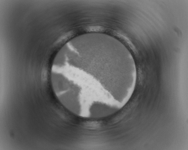 X0000116020161200912312200