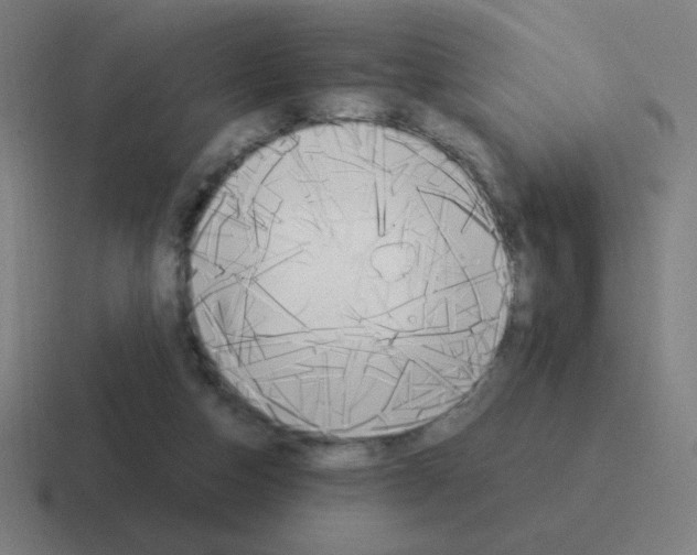 X0000116020162200912312200