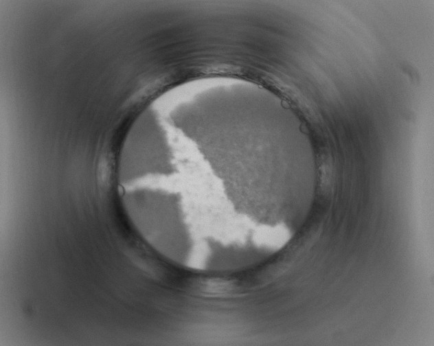 X0000116020165200912312200