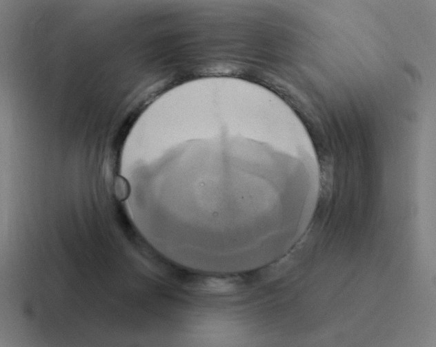 X0000116020166200912312200