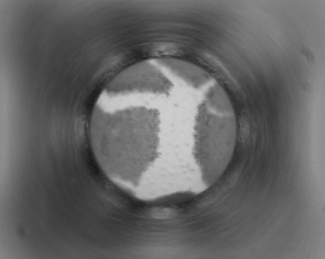 X0000116020169200912312200