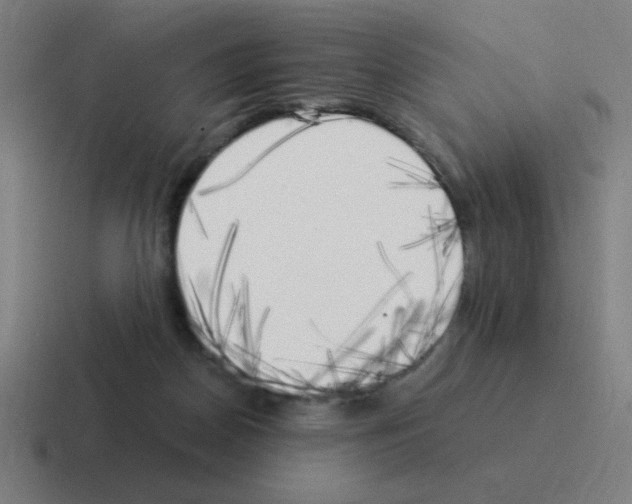 X0000116020170200912312200