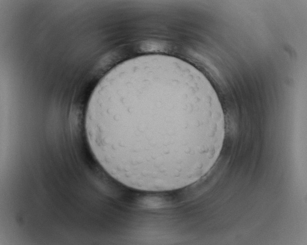 X0000116020171200912312200