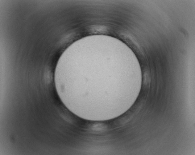 X0000116020173200912312200