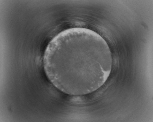 X0000116020177200912312200