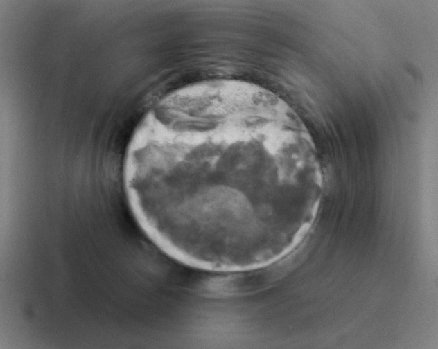 X0000116020178200912312200