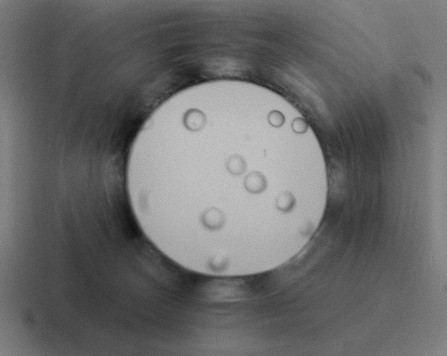 X0000116020179200912312200