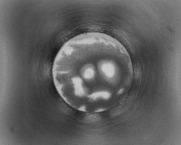 X0000116020185200912312200