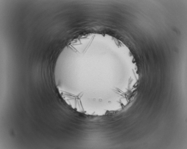 X0000116020186200912312200