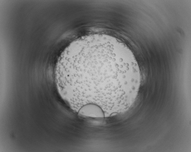 X0000116020187200912312200