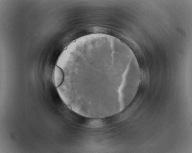 X0000116020189200912312200