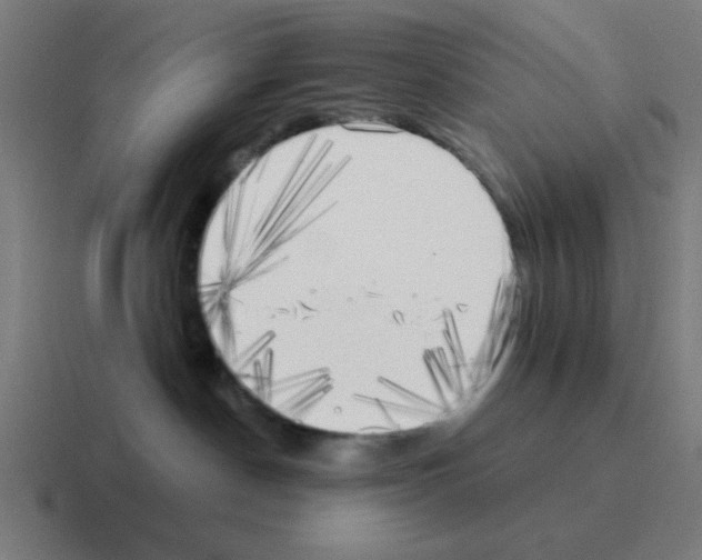 X0000116020190200912312200