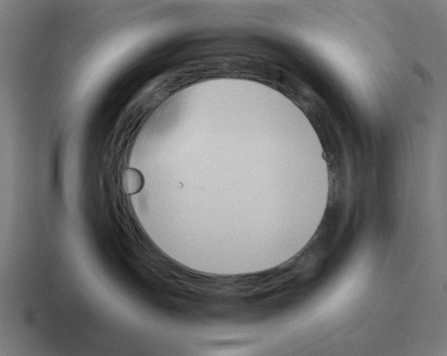 X0000116020191200912312200