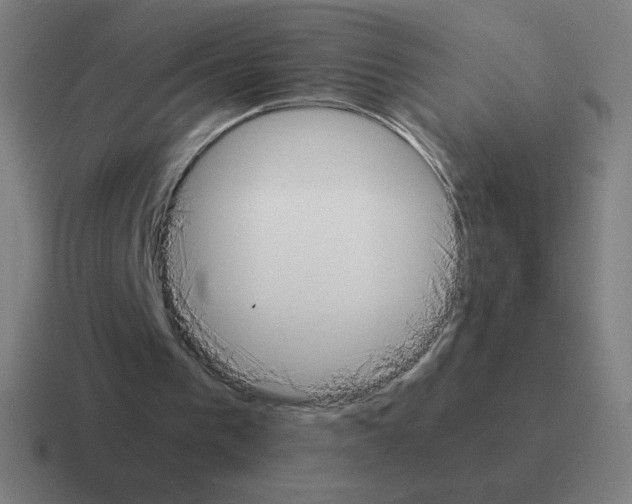 X0000116020193200912312159