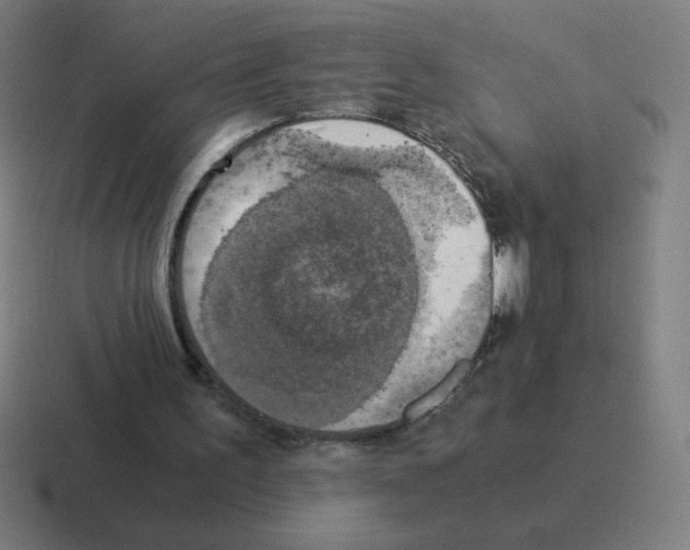 X0000116020195200912312159