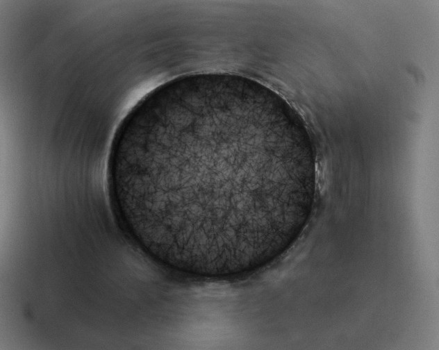 X0000116020196200912312159