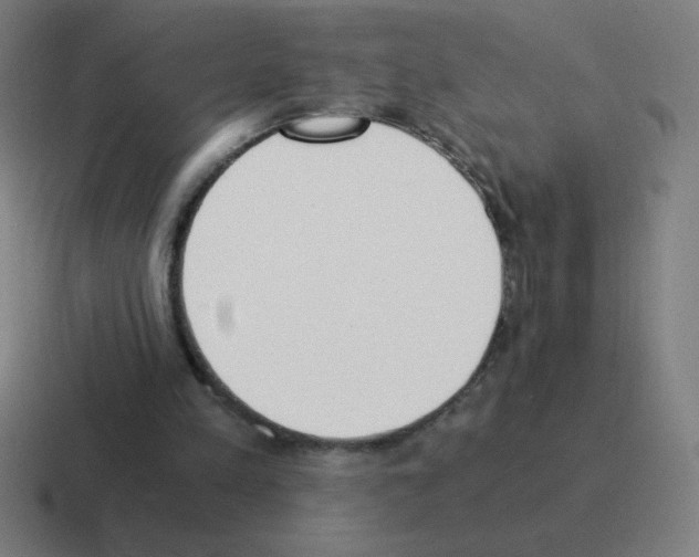 X0000116020197200912312159